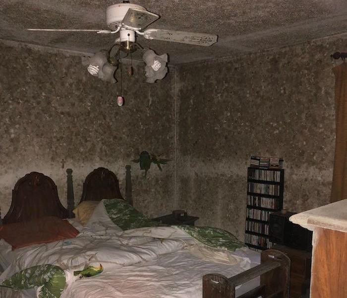 Bedroom with severe mold damage on the walls