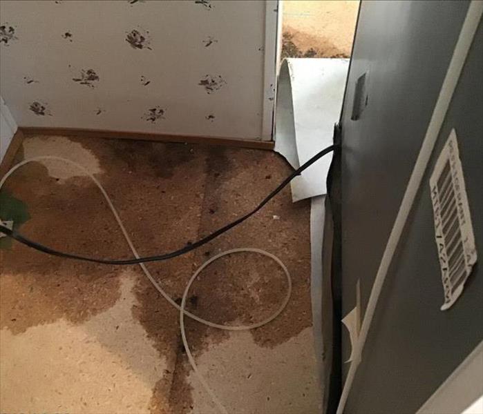 Wet kitchen floor behind refrigerator
