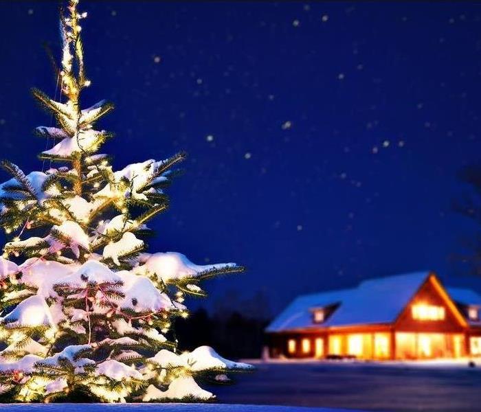 Image of dark winter sky, with snow covered ground with the Christmas tree covered with lights and home in the background.