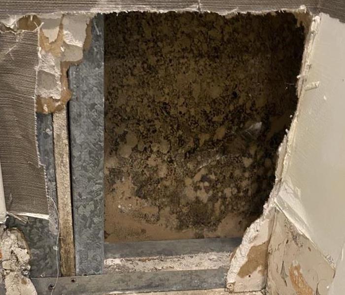 Image of Mold on a wall behind wallpaper at a commercial building